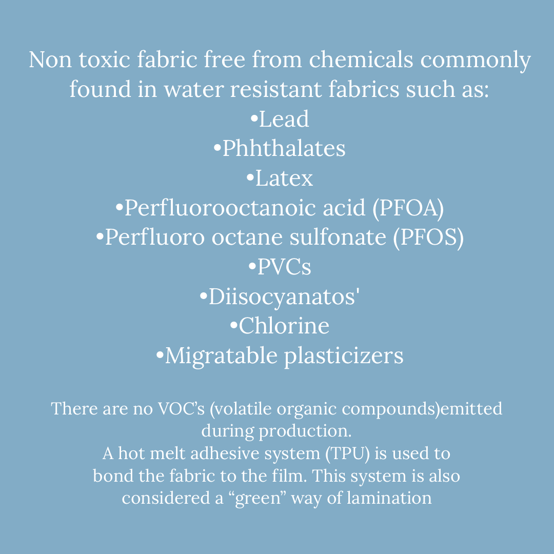 Octopus - Non Toxic Rain Poncho