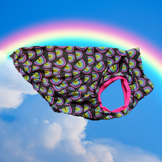 Rainbow after the storm - UV50 Sun Protective Tee - Size LARGE - Ready to Ship