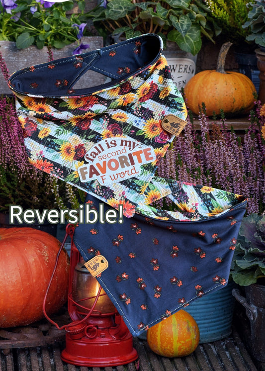 Fall is my second favorite F word - Reversible Dog Bandana