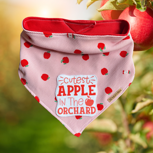 Cutest apple in the orchard - Everyday Bandana