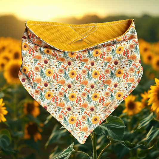 Sunflower Field - Everyday Bandana