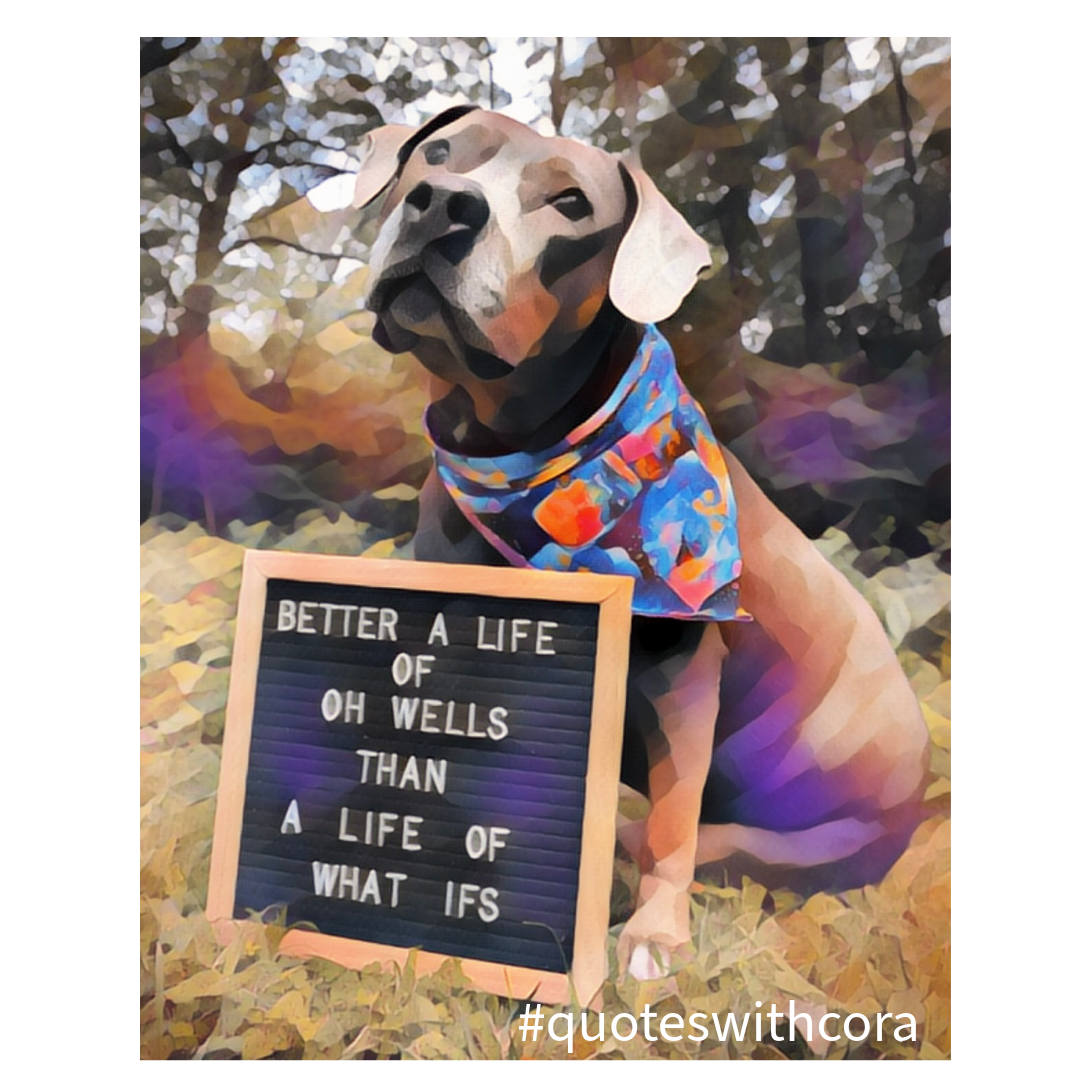 TWO Year Anniversary Sticker! - The very first #quoteswithcora - 3" Sticker