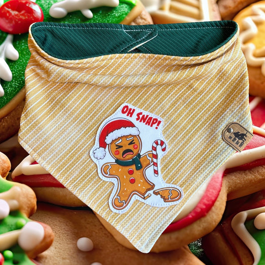 Oh snap! - Christmas Collection - Reversible Dog Bandana