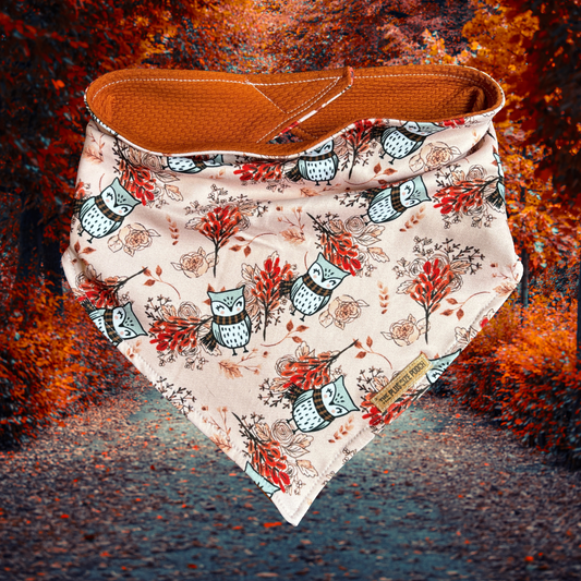 Cozy Season Owl - Everyday Bandana