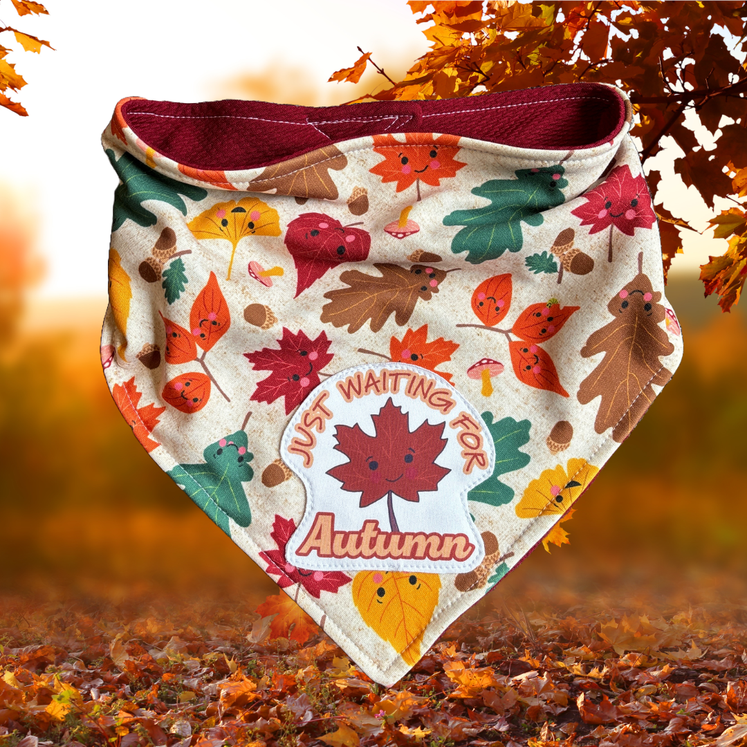 Just Waiting for Autumn - Everyday Stretch Bandanai