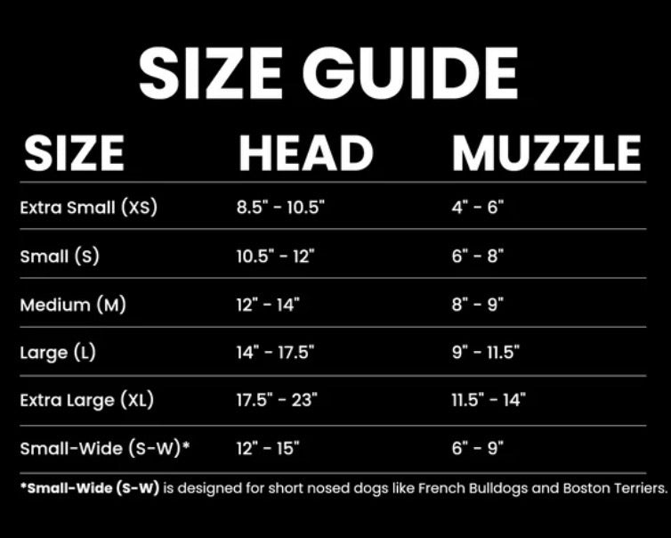 Rex Specs - Black - XL - Smoke and Clear lens