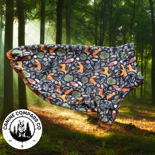 Oh what a world in the woods - Lightweight Dog Sweatshirt - Canine Compass Co