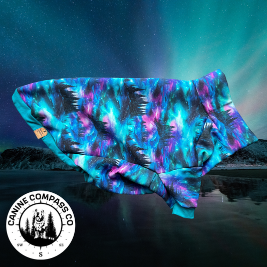 Aurora - Longsleeve Dog Sweatshirt - Canine Compass Co