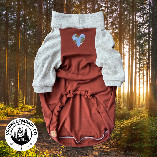 Heart for adventure - Dreamy Soft Raglan Dog Shirt - Canine Compass Co.