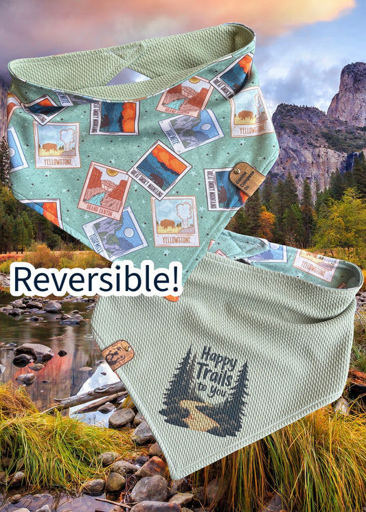 Happy Trails to you - Canine Compass Co - Reversible Dog Bandana