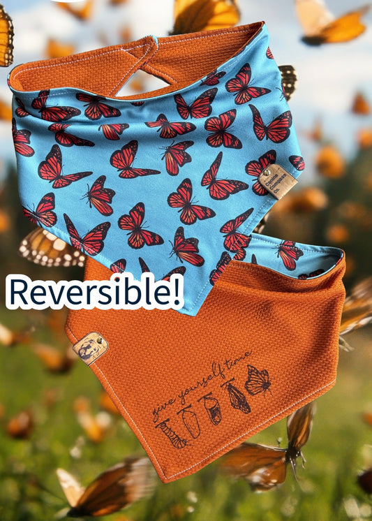 Give yourself time - Mental Health Monarch - Canine Compass Co - Reversible Dog Bandana