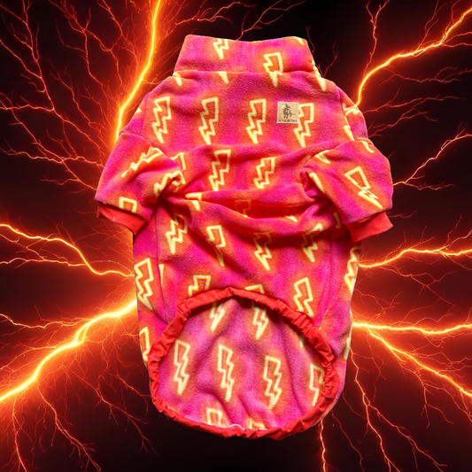 Electrifying - Fleece Dog Sweatshirt