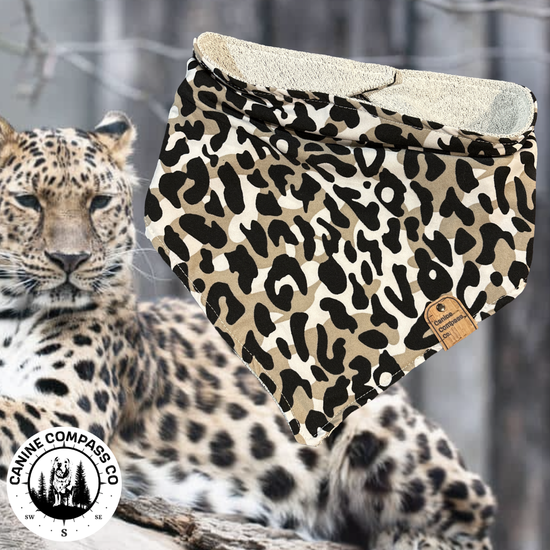Amur Leopard Awareness - Canine Compass Co