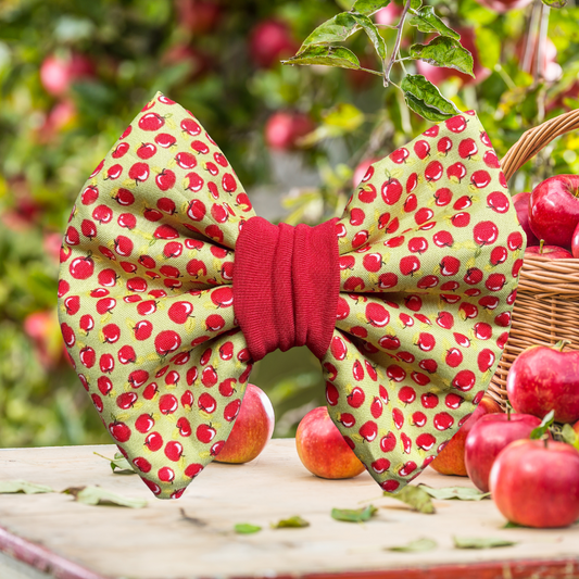 Orchard Day - Chunky Bow Tie
