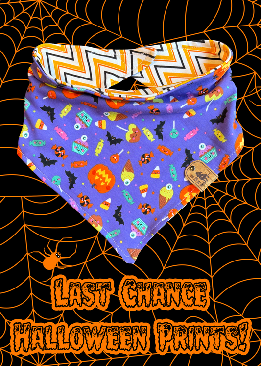 $5 Last Chance Halloween - Reversible Dog Bandana