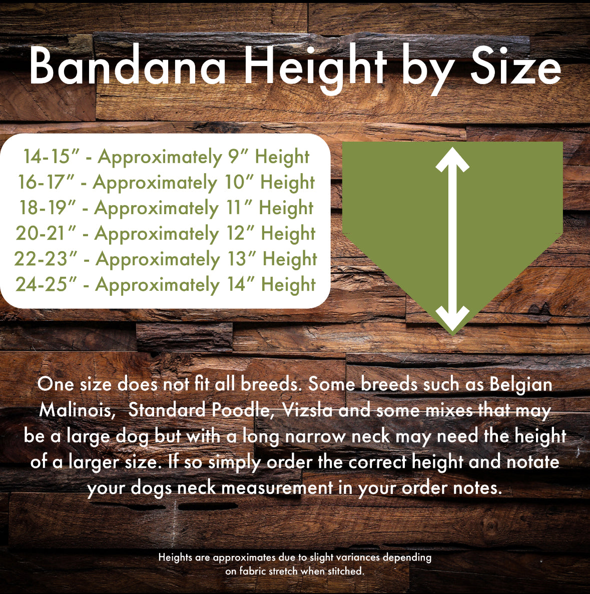 Fun little fungi - Reversible Bandana - Canine Compass Co