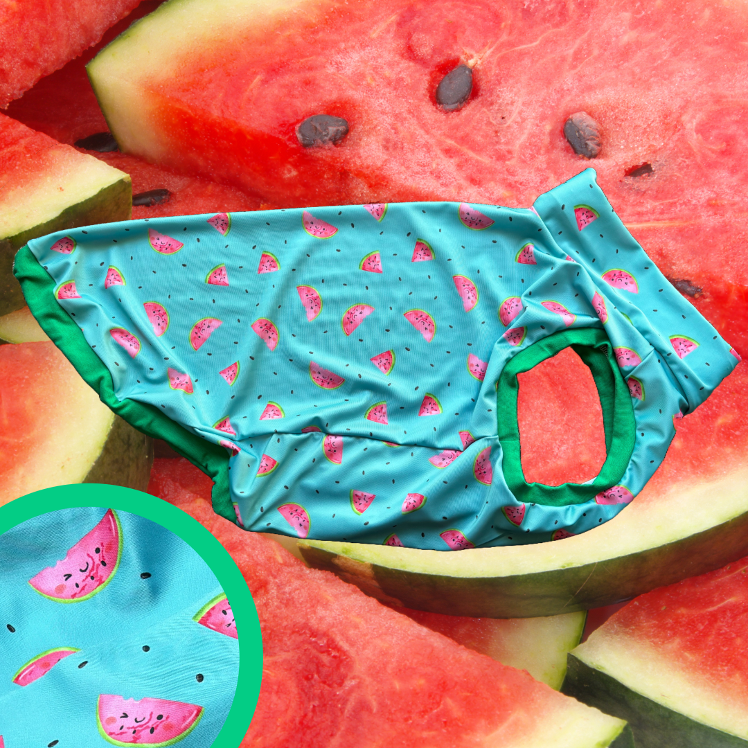 Happy Melons - UV50 Sun Protective Sleeveless Tee