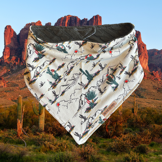 Desert Sunset - Everyday Stretch Bandana