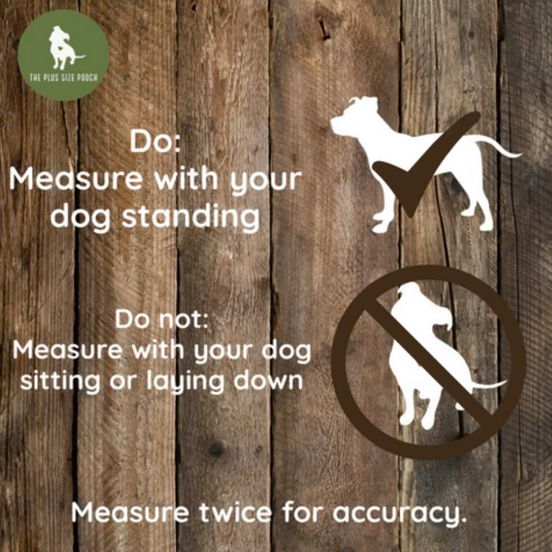 Winter Spell - Fleece Dog Sweatshirt