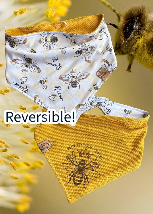 Queen Bee - Canine Compass Co - Reversible Dog Bandana
