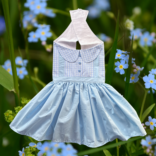 Blue Sky Beauty - Dog Dress