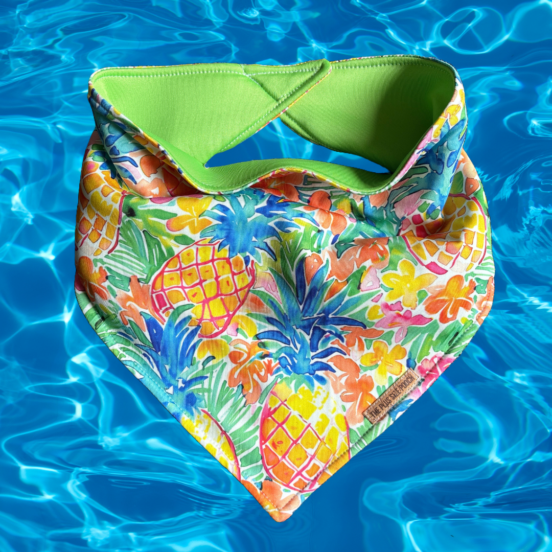 Turtle Beach - Summer Cooling Bandana