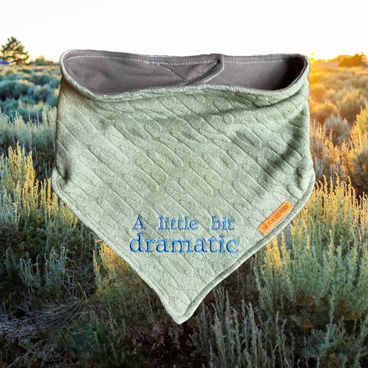 A little bit dramatic - Sage - Embroidered Bandana