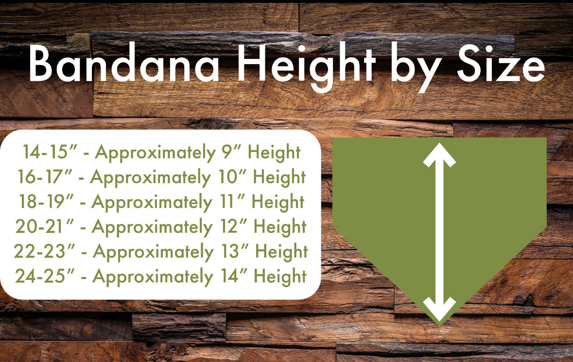 I'm in a spring state of mind - Reversible Dog Bandana