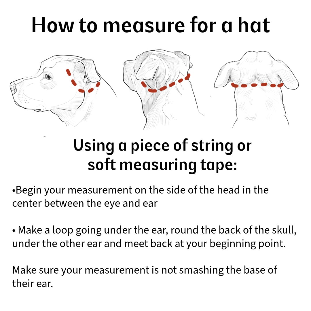 Moss - Bucket Hat