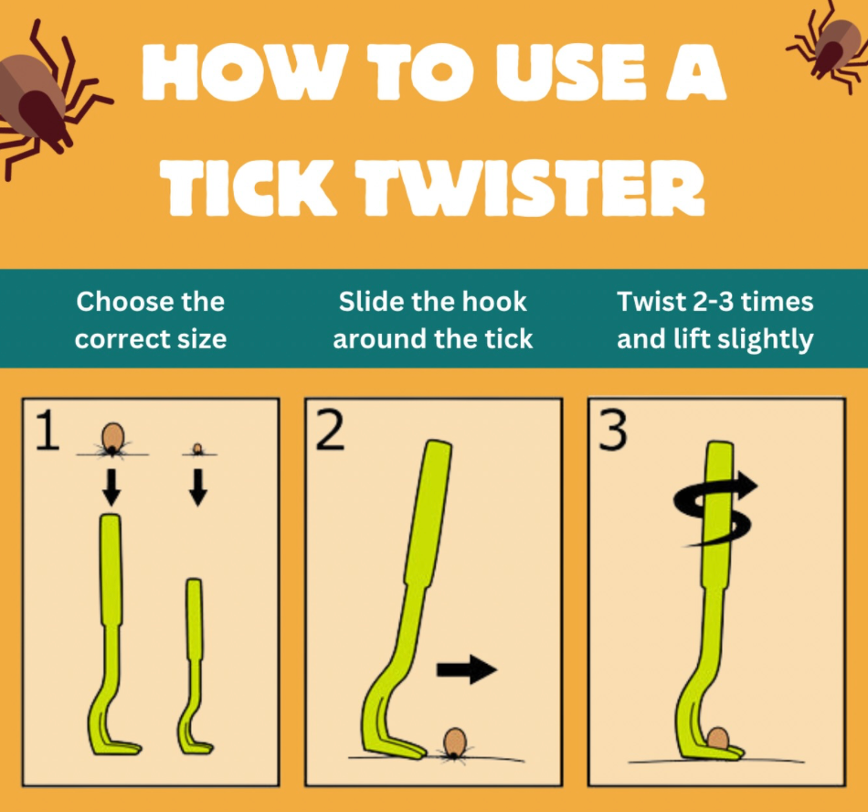 Tick Removal Kit - Blue
