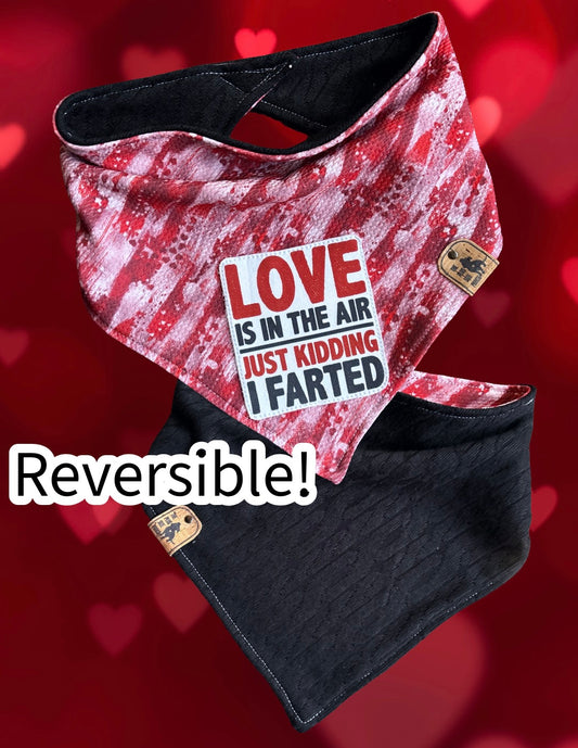 Love is in the air, just kidding I farted - Reversible Dog Bandana