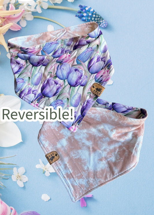 Tulip Sunrise - Reversible Dog Bandana