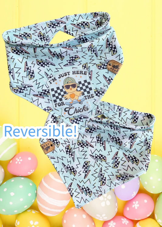 Just here for the chicks - Reversible Dog Bandana
