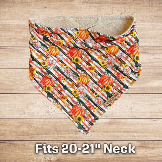 Fits 20-21” Neck