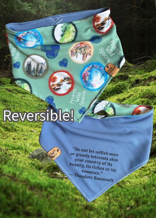 Protect Wild Spaces - Canine Compass Co - Reversible Dog Bandana