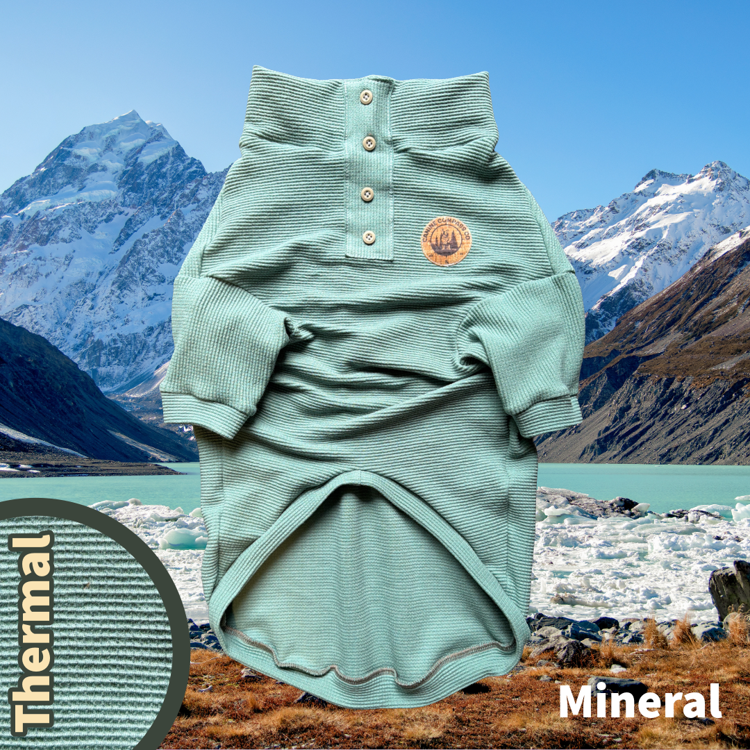 The Wilds - Thermal Dog Shirt - 6 Color Options