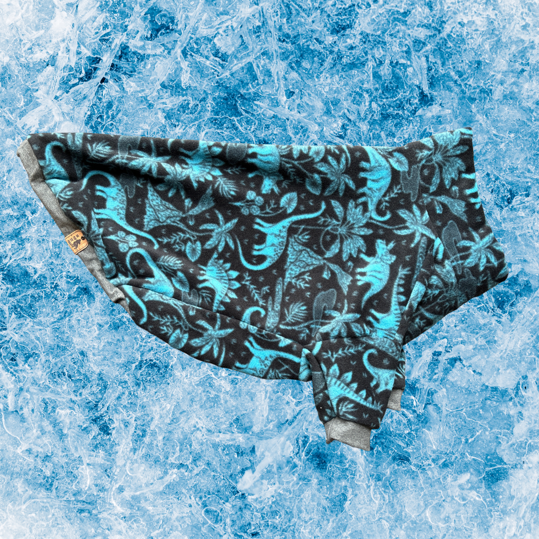 ❄️Ice Age - Fleece Dog Sweatshirt