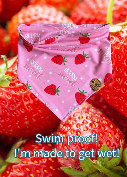 Berry Sweet - Swim Proof Bandana