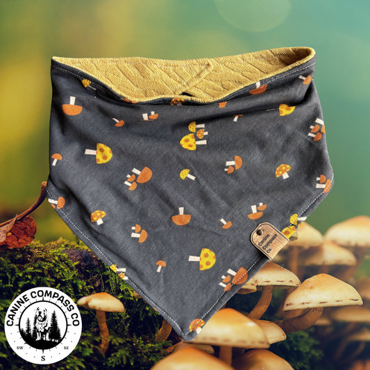 Fun little fungi - Reversible Bandana - Canine Compass Co