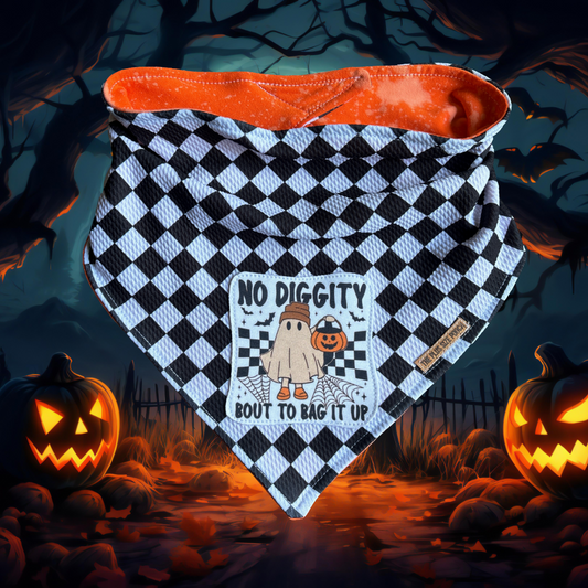 No Diggity  - Everyday Stretch Bandana