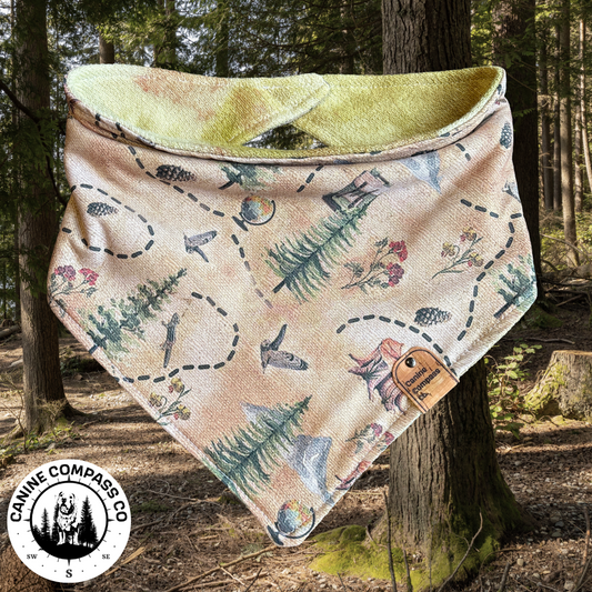 Time for a new adventure - Canine Compass Co - Reversible Dog Bandana