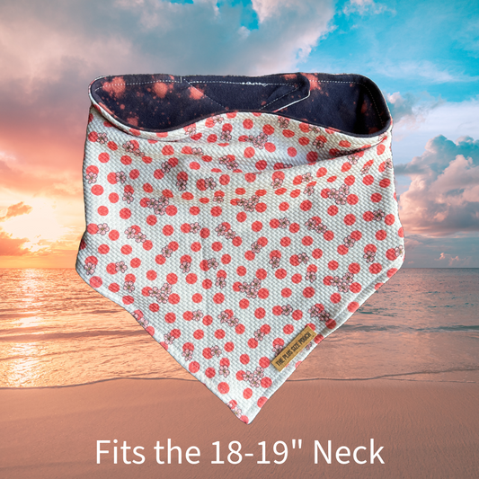 Fits 18-19” Neck ONLY - Everyday Stretch Bandana