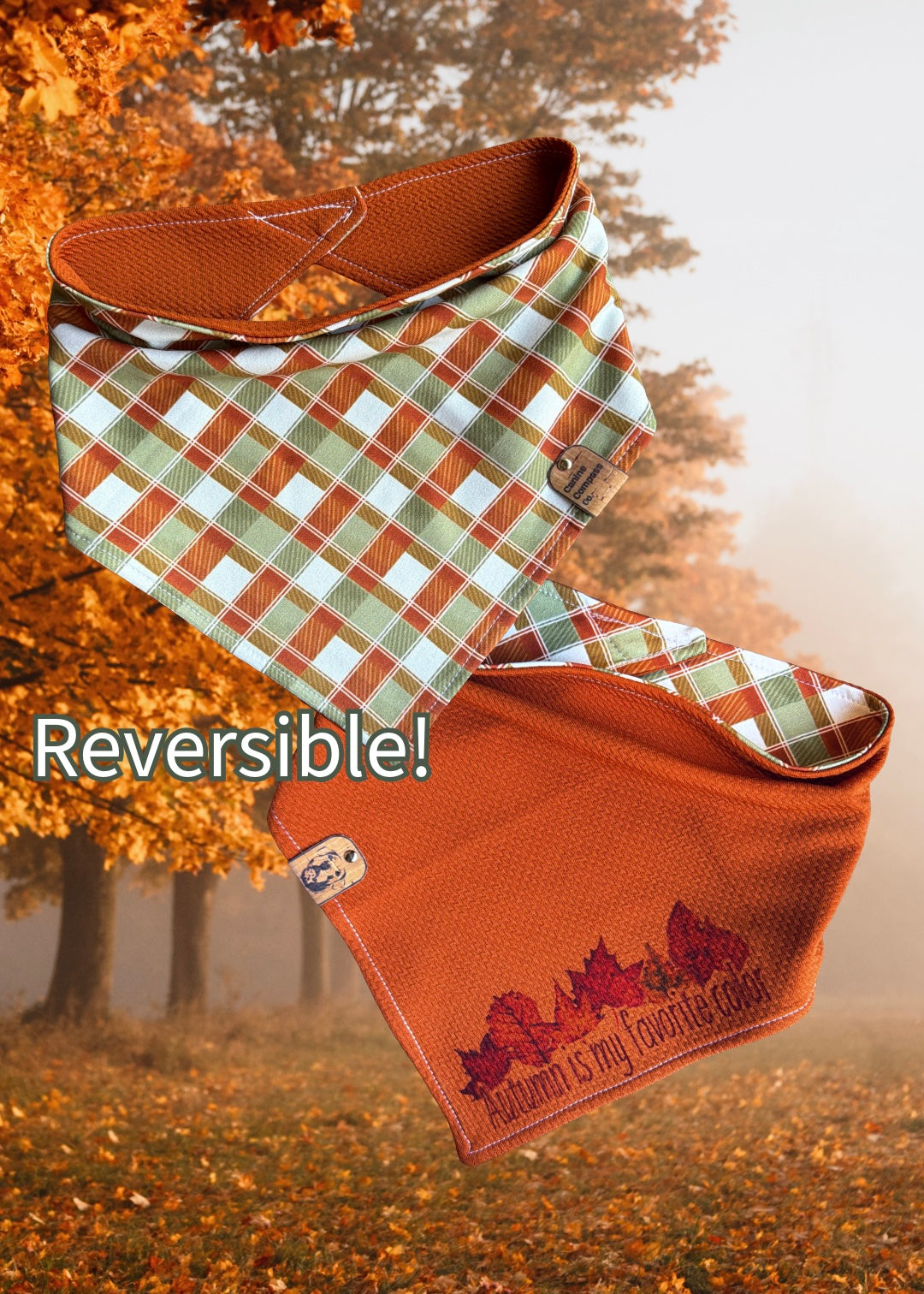 Autumn is my favorite color - Canine Compass Co - Reversible Dog Bandana