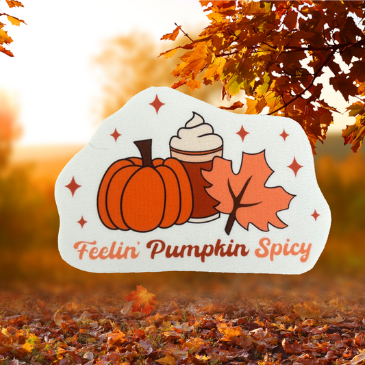 Feelin’ Pumpkin Spicy- Neoprene Patch