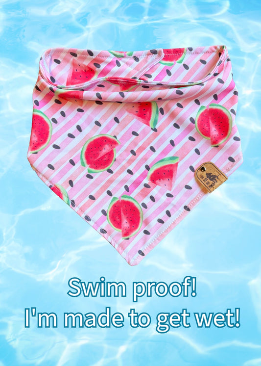 Sweet Slice - Swim Proof Bandana