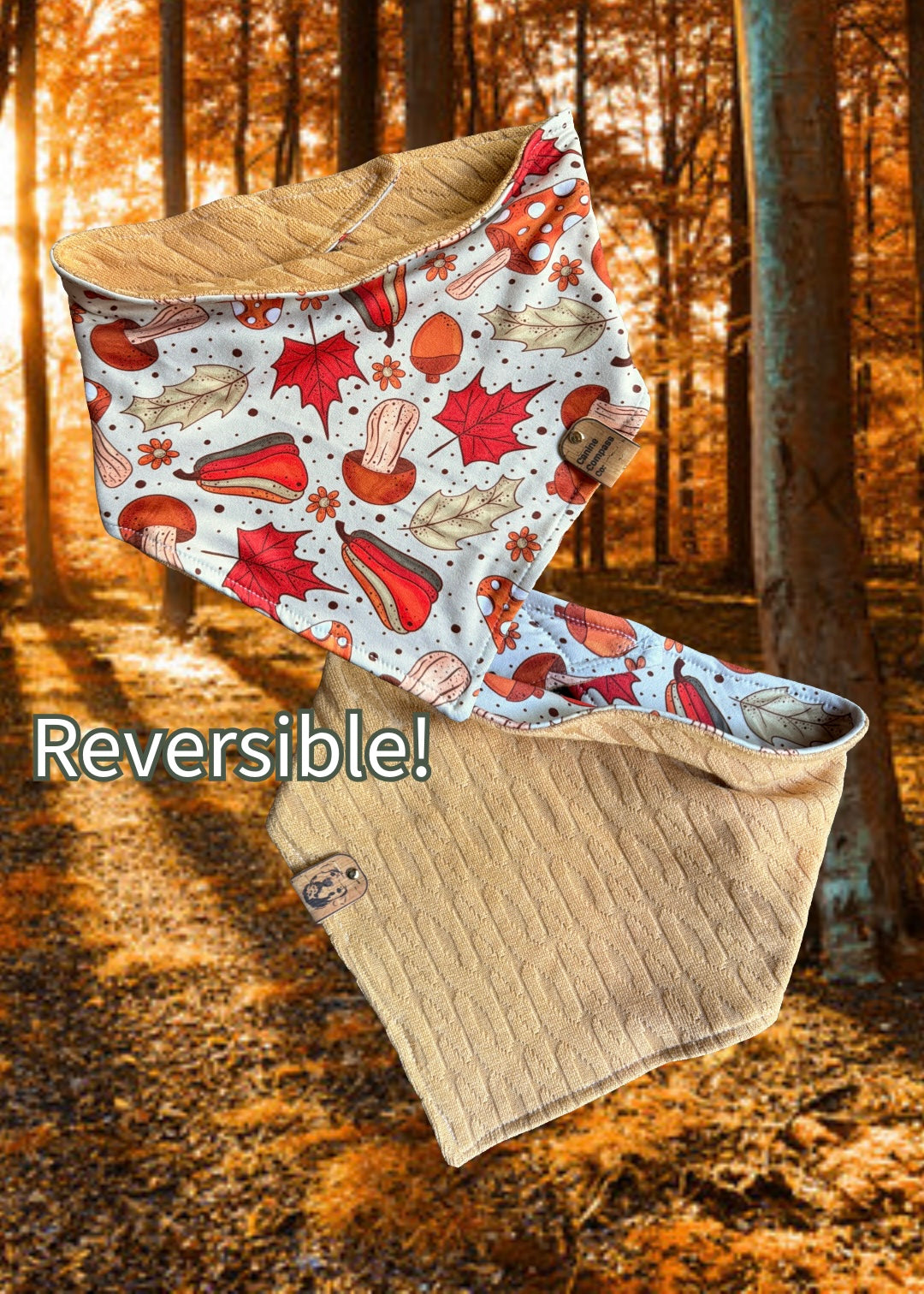 Autumn Forest Floor - Reversible Dog Bandana - Canine Compass Co