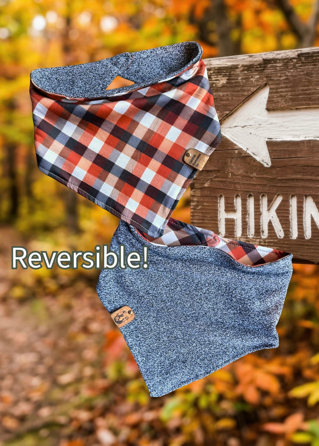 Hello Hiking Weather - Reversible Dog Bandana - Canine Compass Co