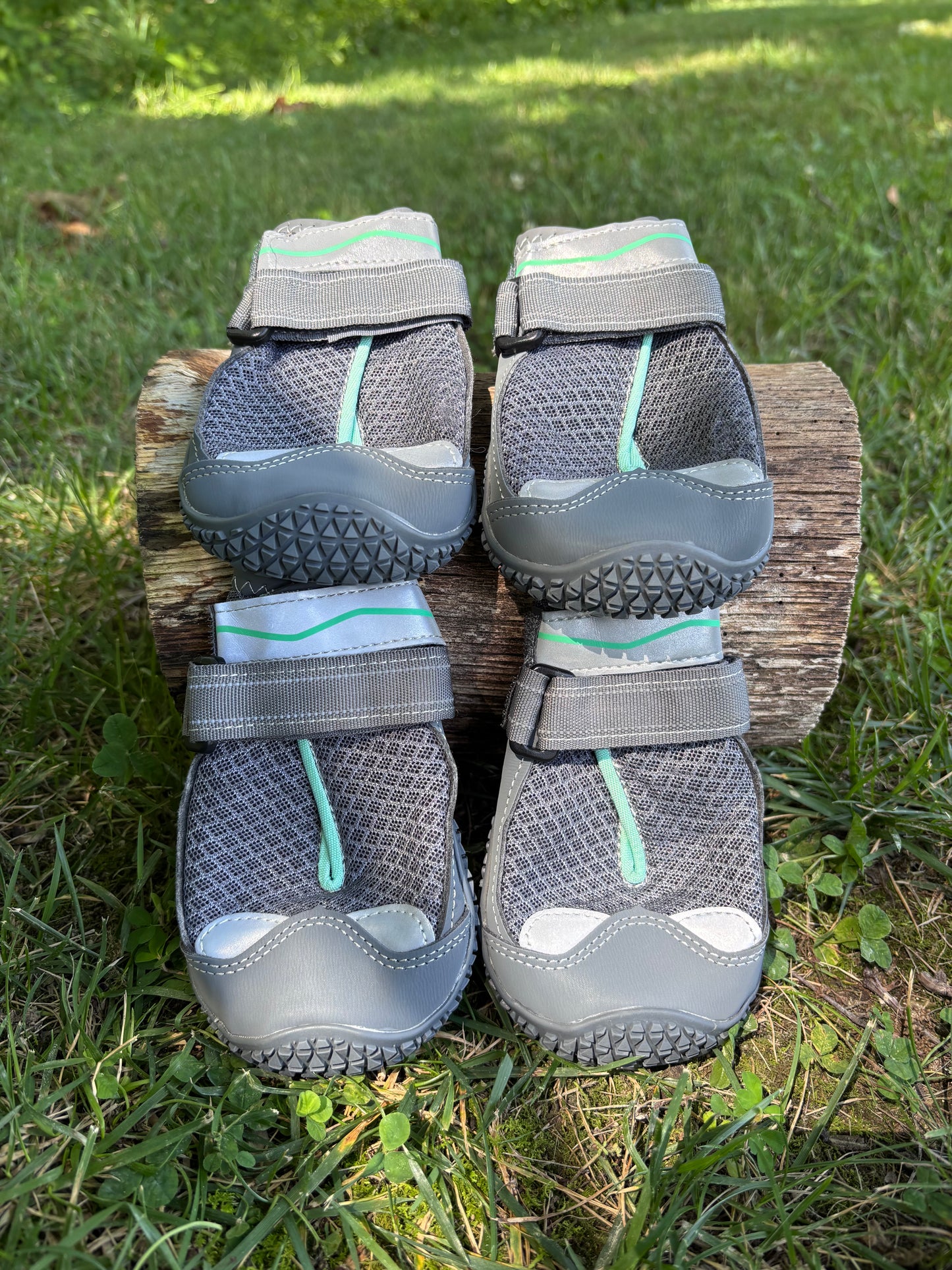 Pup Wonders Dog Shoes - Size 7