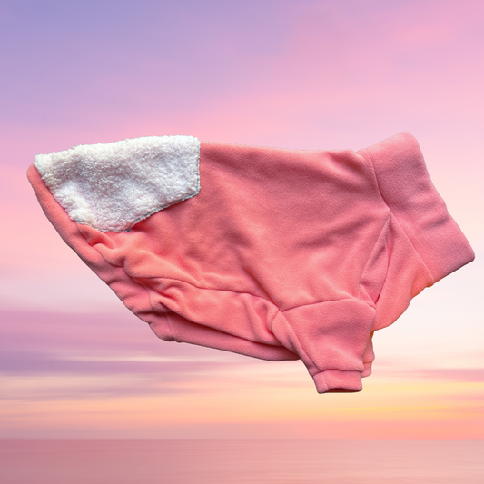 Coral Sunset - LARGE - Fleece Dog Sweatshirt
