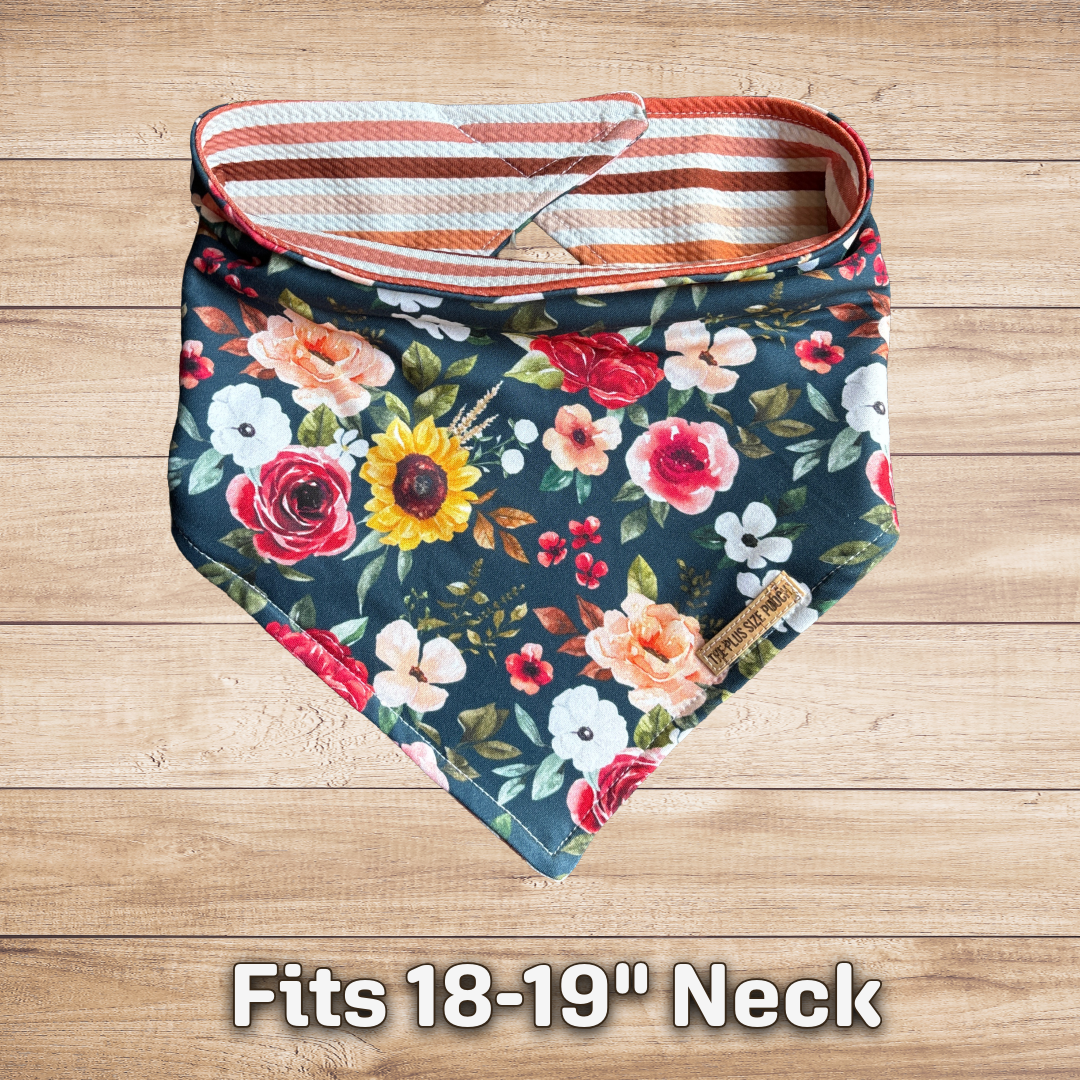 Fits 18-19" Neck